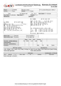 tr�chtige Fleckvieh Kalbin zu verkaufen, beweidet und ruhig